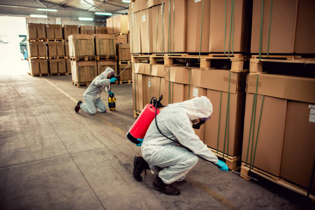 Reliable Mcgehee, AR Pest Control Solutions
