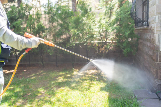 Wasp Removal Services in Mcgehee, AR