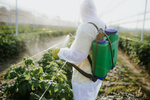 Best Residential Pest Control  in Mcgehee, AR